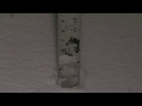 Winter storm brings snow to Metro Detroit