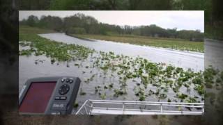 preview picture of video 'Airboat Sunday Lets go on our first trip!'