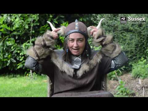 How to do Viking Braiding