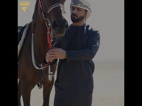 THE LESSON OF THE HORSE COLLECTOR - BEAUTIFUL REFLECTION I Fabio Nunes motivation