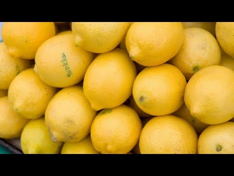 "Lemon, an ally for your stomach and your skin," explains Michel Cymes.