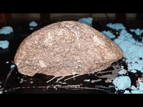 Meteorite From Mars discovered Today in Utah.Unbelievable and emotional find for the times.