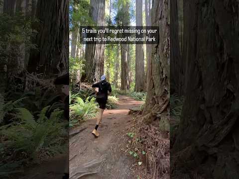 These 5 Trails Were My Favorite in Redwood National Park #redwoodnationalpark #nationalparks