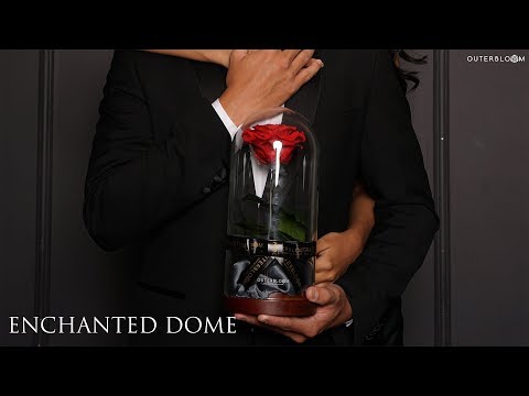 Outerbloom Business