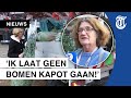 Ondernemer baalt: ‘Vijfhonderd bomen vernietigd’