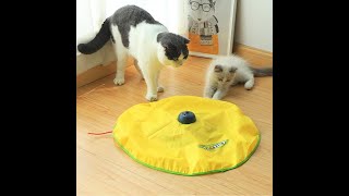 Kattleksak Cat'N Mouse