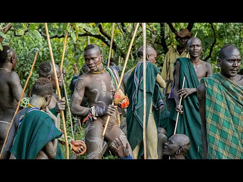 Stick Fight Surma Tribe Omo Valley Ethiopia/Suri tribe stick fight Donga stick fighting