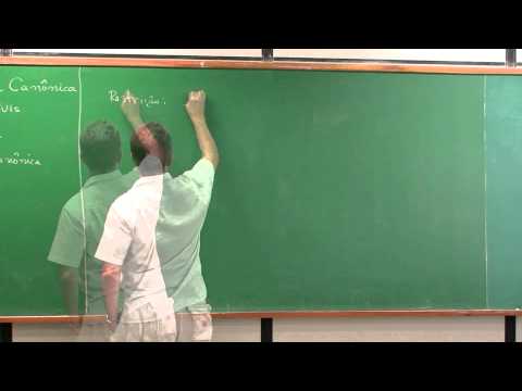 O tempo como variável canônica e o Princípio de Maupertuis -  Aula 1