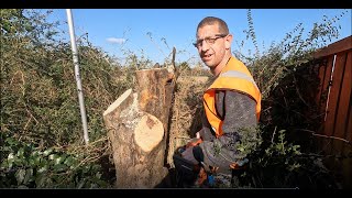 Tree Surgeon a day in the life ~ 4K ~ Part 1