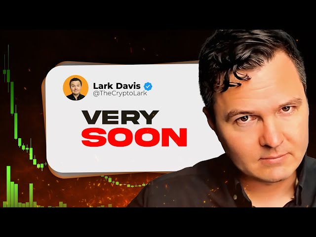 Lark Davis – BITCOIN $100,000 THIS WEEK? (25.11.2024 Summary)