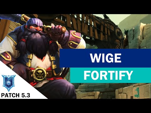 wige Barik Competitive (Diamond) FORTIFY