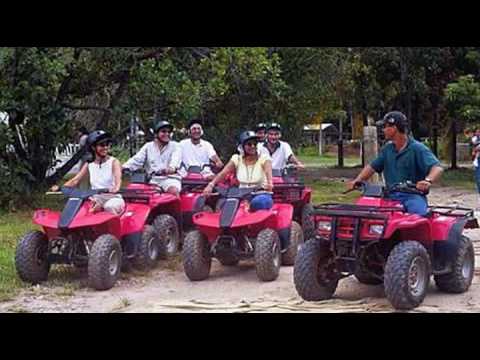 Island Reef Job Audition