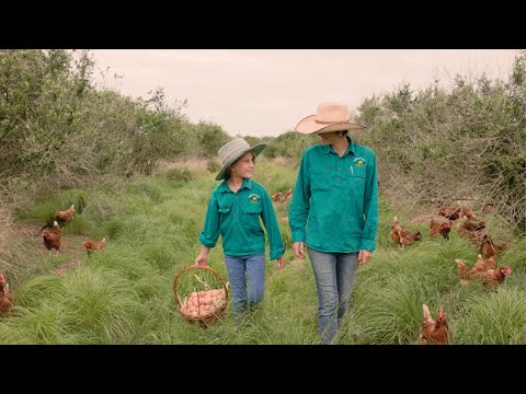 The Carbon Neutral Eggsperience