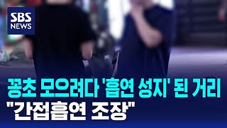 꽁초 모으려다 '흡연 성지' 된 거리..간접흡연 조장 / SBS