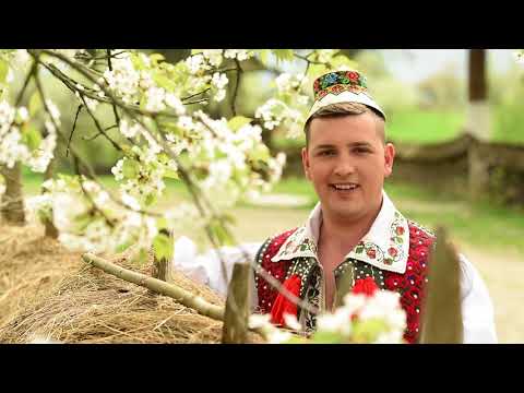 Ionut Bledea – Am umblat lume prin tine Video