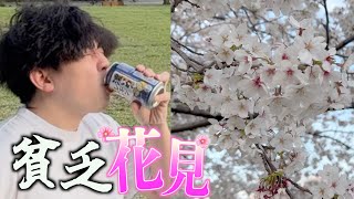 【借金360万】金無いけど花見した1日【節約】
