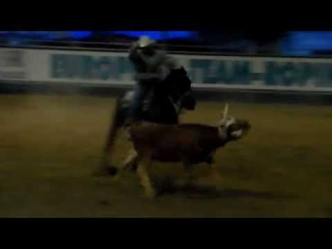 World Series of Team Roping, European Qualifier 2013, Italy