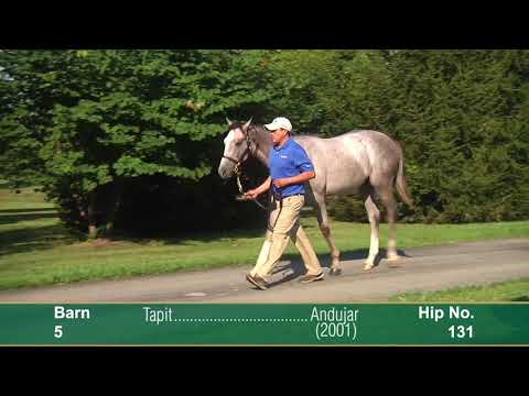 Hip 131 Keeneland September 2017