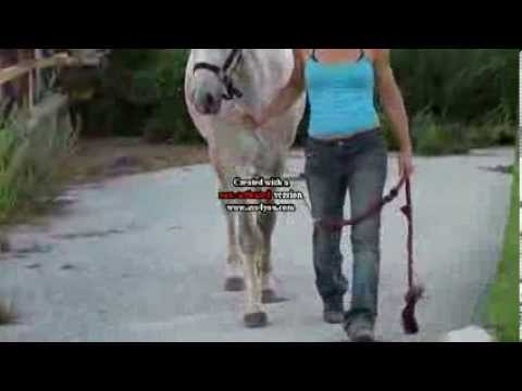 Démarche Saphyro 17 mois