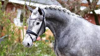 Video di sconosciuto