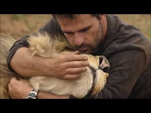 Kevin Richardson in Big Cats An Amazing Animal Family