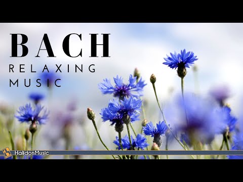 Bach - Klassische Musik zum Entspannen