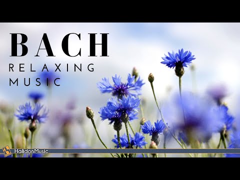 Bach - Classical Music for Relaxation