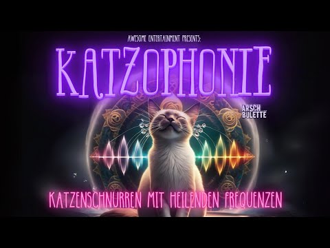 11 STUNDEN TIEFENENTSPANNUNG FÜR KATZEN/MENSCHEN| KATZENSCHNURREN & HEILENDE FREQUENZEN|KATZOPHONIE!