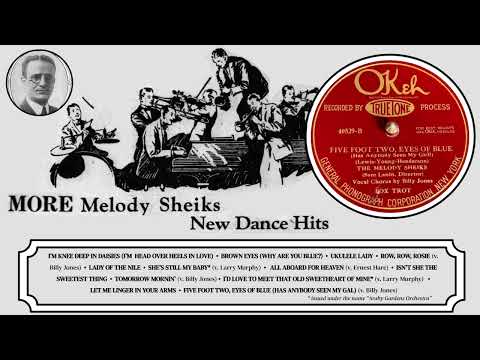 More Melody Sheiks | New Dance Hits (1925-1926) ft. Red Nichols