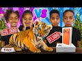 CHEAP VS EXPENSIVE PRESENTS CHALLENGE
