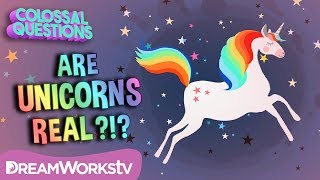 Did UNICORNS Ever Exist? | COLOSSAL QUESTIONS