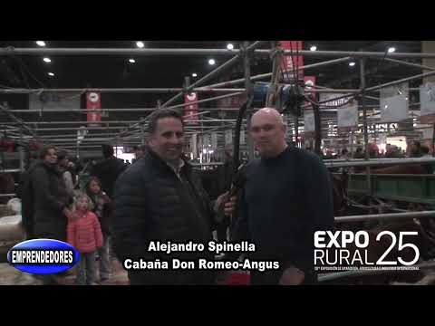 Alejandro Spinella. Cabaña Don Romeo. Expo Rural Palermo 2025