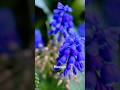 Explore Nature Flowers Beautiful Colors Beauty Love Blossom Bloom Naturelovers Growth