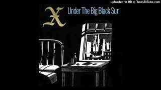X - The Have Nots