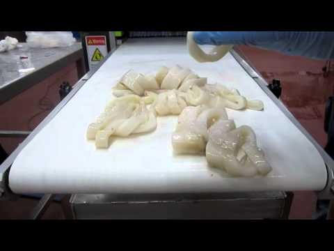 Pacific JS-300 - Squid Rings video thumbnail