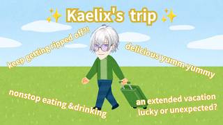 Some travel stories shared by Kaelix【nijisanji EN】
