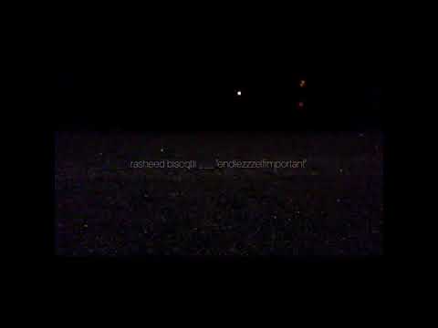 rasheed biscotti - endlezzzelfimportant