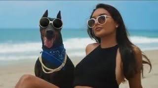 Snoop Dogg Feat. Too $hort - Toss It (Official Music Video)