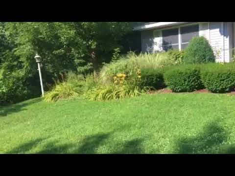 Ortega Greenwood Landscaping  – Before