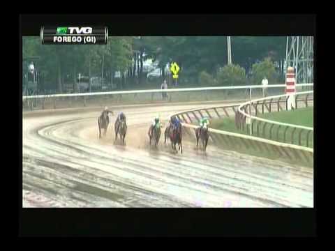 2013 Forego Stakes - Strapping Groom