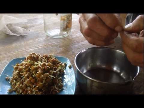 Obtención de auxinas