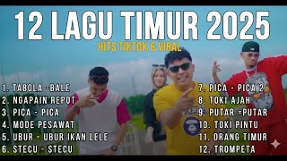 Download lagu LAGU TIMUR TERBARU & VIRAL 2025 | TABOLA BALE - NGAPAIN REPOT - TOKI AJAH - ORANG TIMUR | NO IKLAN mp3