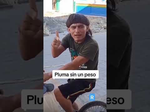 pluma sin un peso #pesopluma #ellabailasola #music #corridos