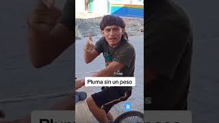 pluma sin un peso #pesopluma #ellabailasola #music #corridos