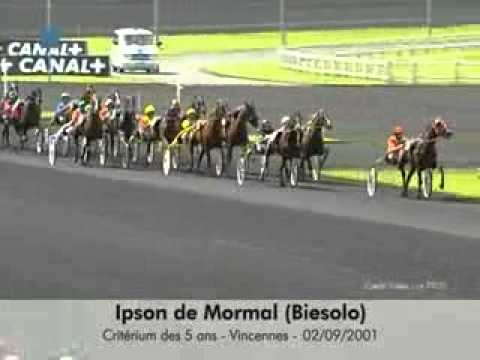 Critérium des 5 ans 2001 -Ipson de Mormal