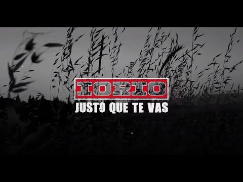 Justo Que Te Vas - Ricardo Iorio - Video Lyric
