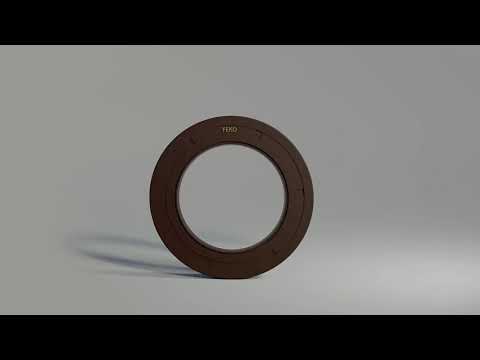 FEKO High Quality Type AS -FKM (Viton) Oil Seal