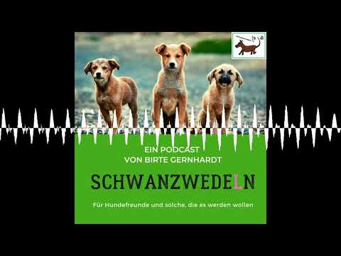65 Alex hilft...Hörerfragen/ Q&A - Schwanzwedeln