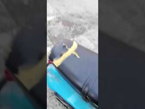 Restauro Vespa 50R 1971