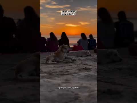 Lagoa Bacupari em Mostardas-RS no Litoral Norte Gaúcho #litoralrs #turismors #lagoabacupari #osorio